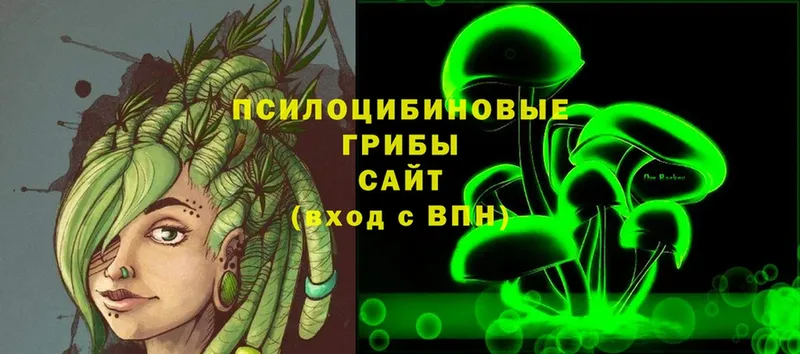 Галлюциногенные грибы Cubensis  гидра вход  Мичуринск 