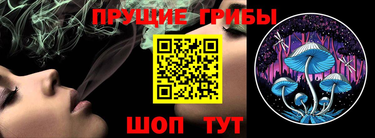 Псилоцибиновые грибы мицелий Мичуринск